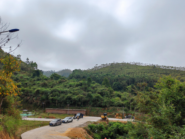 梅州******投资发展有限公司拟资产收购而涉及位于梅州市**县**镇**村的林地经营权及林道资产的市场价值资产评估报告