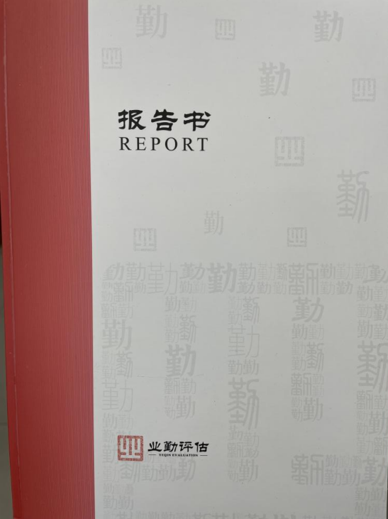 广州市白云区发展工程项目可行性研究报告