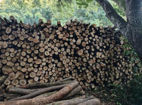 广东省******林场（广东******公园管理处）拟资产处置涉及位于广东省******林场******区的一批木材资产市场价值资产评估报告